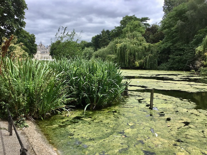 St. James's Park
