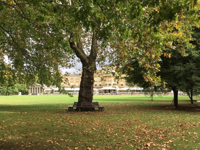 Buckingham Palace from the garden